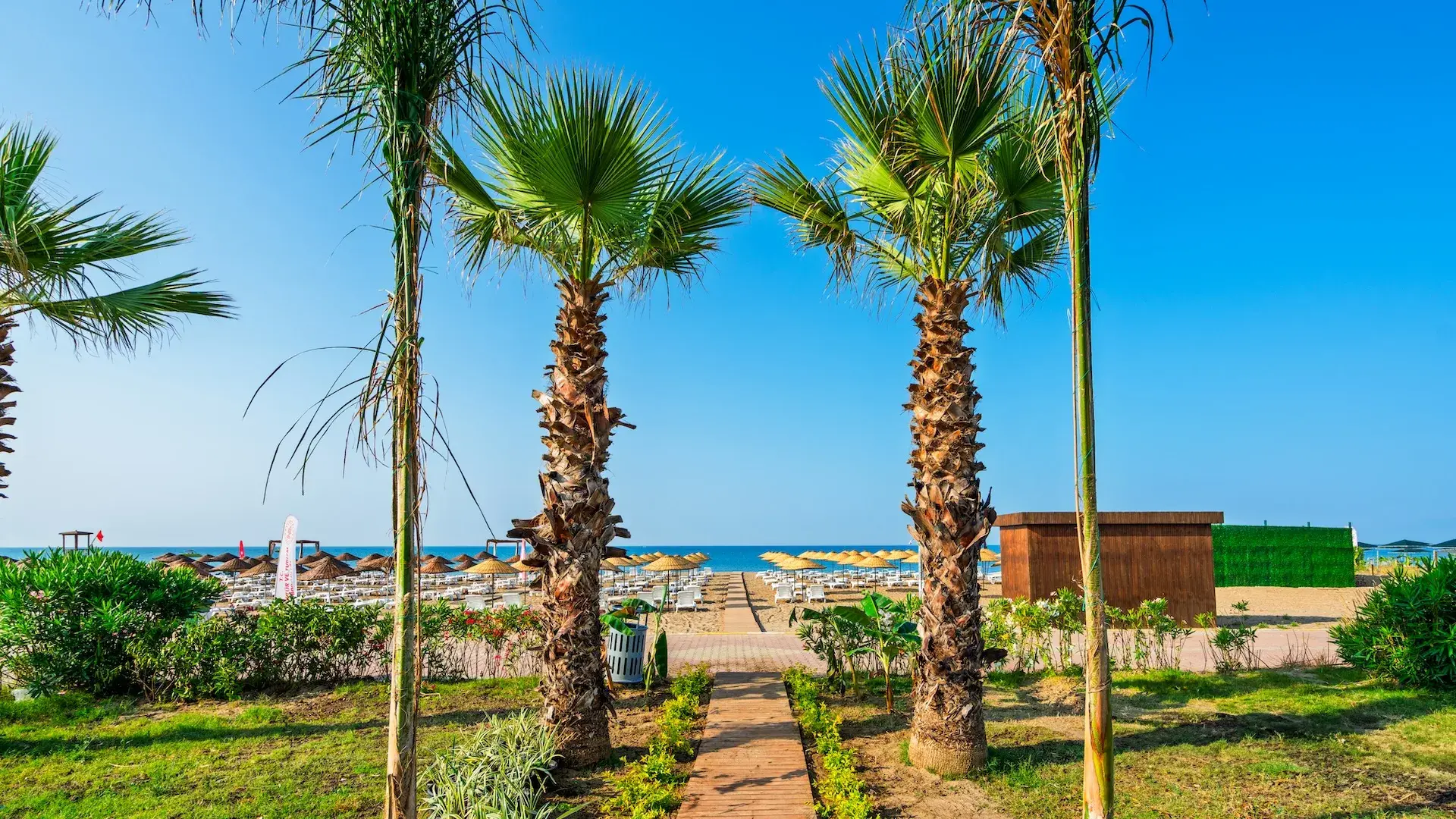 Otel sahili